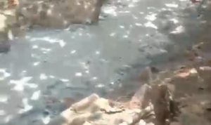 Screenshot_20240923_213519_WhatsApp