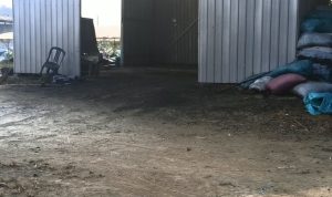 IMG-20260930-WA0003